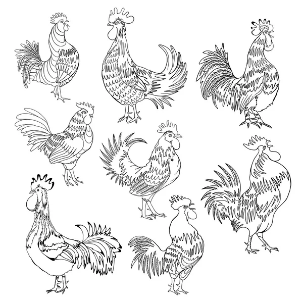 Set of hand drawn roosters — Stock Vector