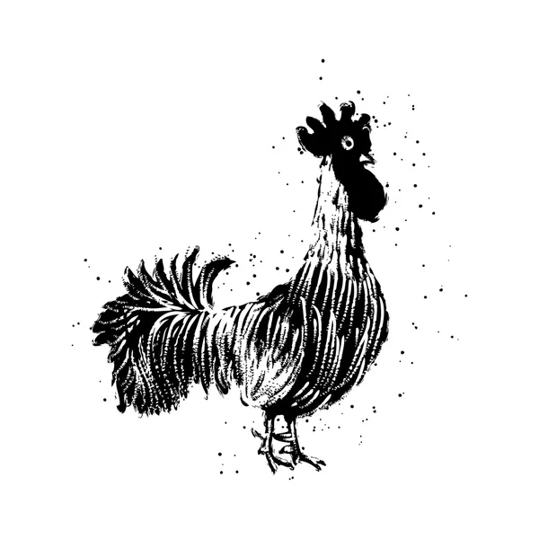 Diseño vintage con gallo — Archivo Imágenes Vectoriales
