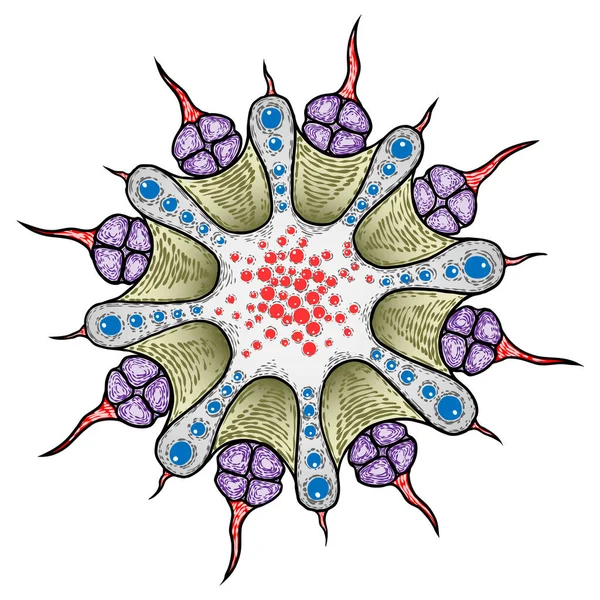 新しいコロナウイルスCovid 19アートドローイング 真ん中にDnaやRnaを持つ病原性生物 感染剤 インフルエンザ汚染 大気汚染 ほこり 空気中の花粉アレルゲン粒子 ベクトル — ストックベクタ