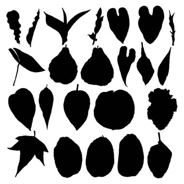 Yaprak siluet koleksiyonu, yaprak seti. Yerel bahar yaprakları, canlı orman ve ev bitkilerinden yapılmış el yapımı elementlerin botanik çizimi. Vektör.