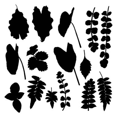 Değişik tropikal orman yaprakları siyaha boyanmış. İzole edilmiş palmiye dalları ve bitki yaprakları veya yaprak silueti. Vektör.
