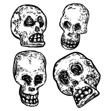 Farklı yönlerde dekoratif insan kafatasları seti, el çizimi çizimleri. Dekoratif büyücülüğün stilize edilmiş çizimi, vudu büyüsü niteliği. Cadılar Bayramı için çizim. Vektör.