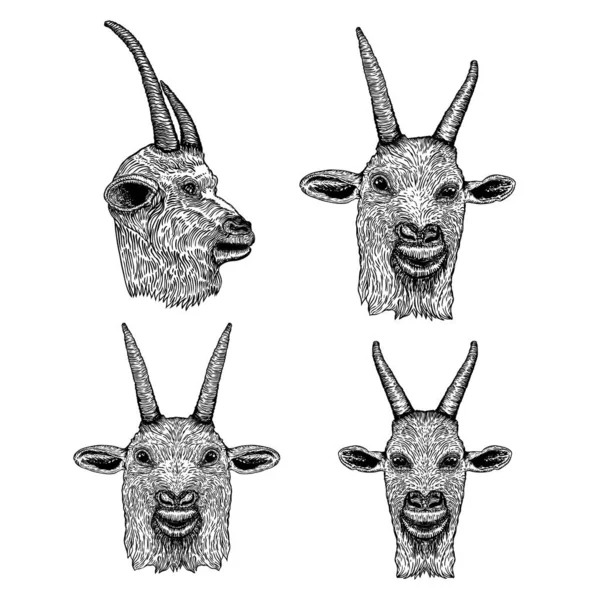 Set Funny Goat Farm Animal Head Horns Black White Sketch — Stock Vector