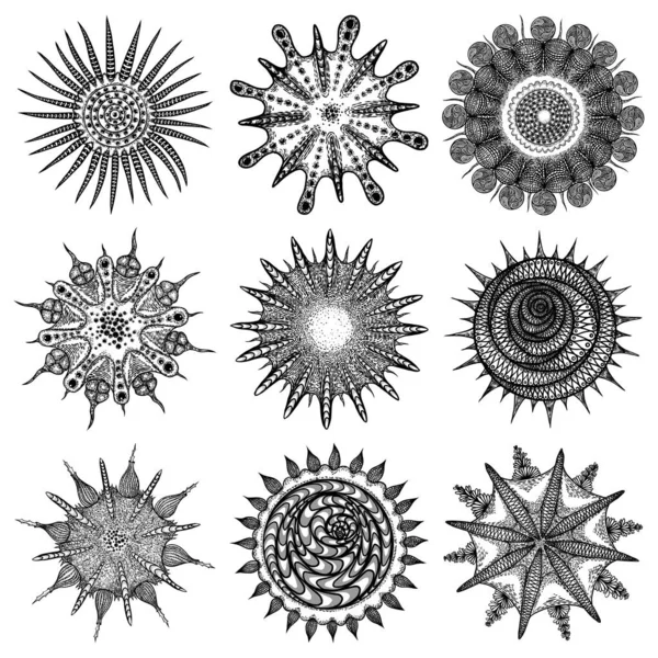 Coronavirus Covid Abstracte Tekening Van Infectieuze Agentia Besmettelijke Ziektekiemen Bacterievirus — Stockvector