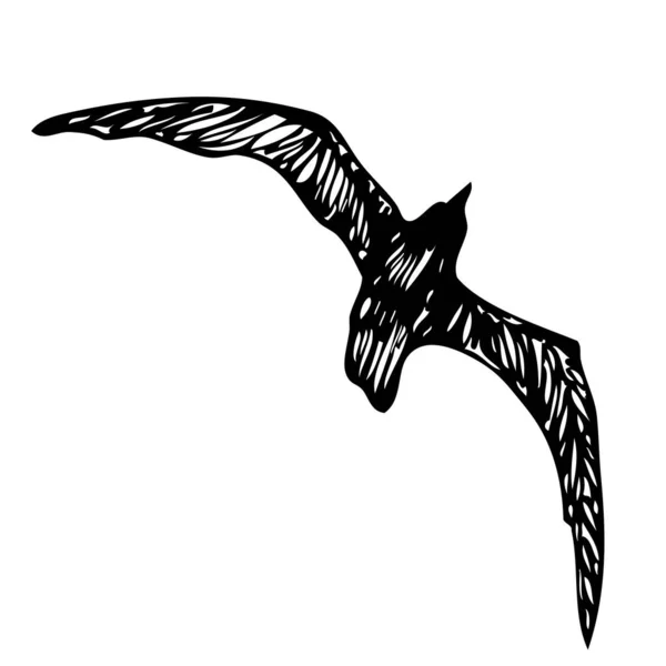 Mouette Noire Traits Dessinés Main Oiseau Mouette Marine Dessin Croquis — Image vectorielle