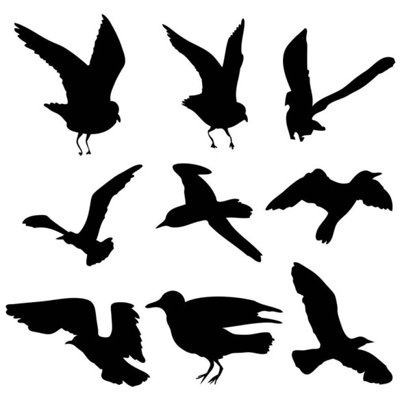 Silhouette set of flying seagulls birds on white background. Inspirational body flash tattoo ink of sea birds. Vector.