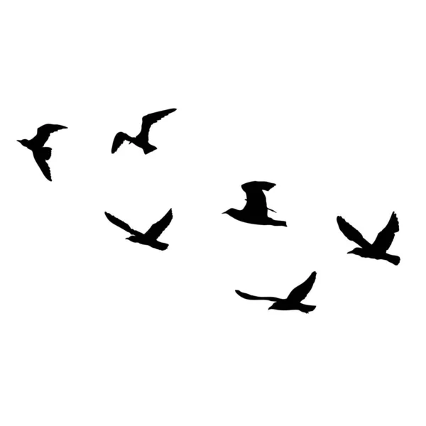 Ensemble Oiseaux Mouettes Croquis Tatouage Marin Nautique Coup Noir Silhouettes — Image vectorielle