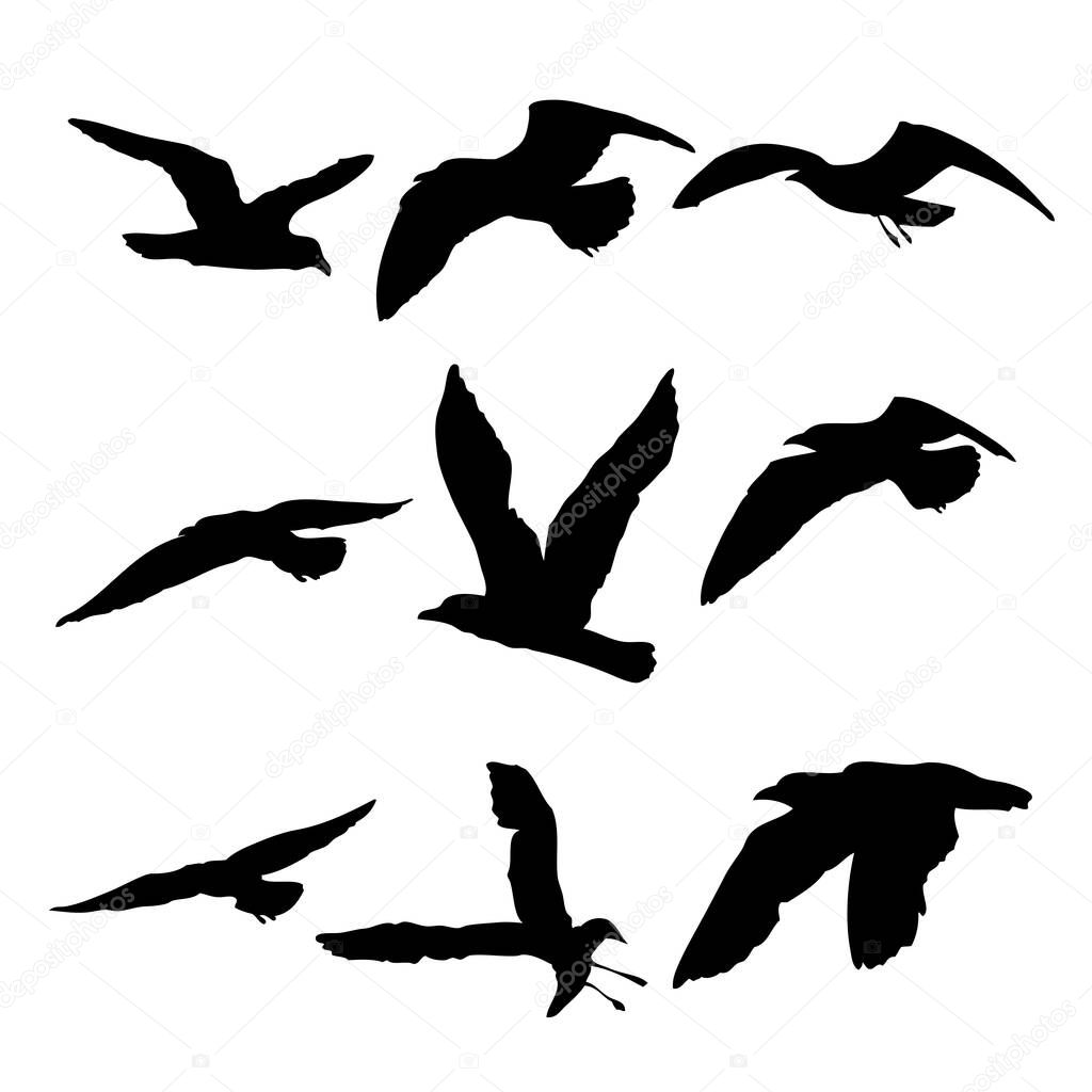 Silhouette set of flying seagulls birds on white background. Inspirational body flash tattoo ink of sea birds. Vector.