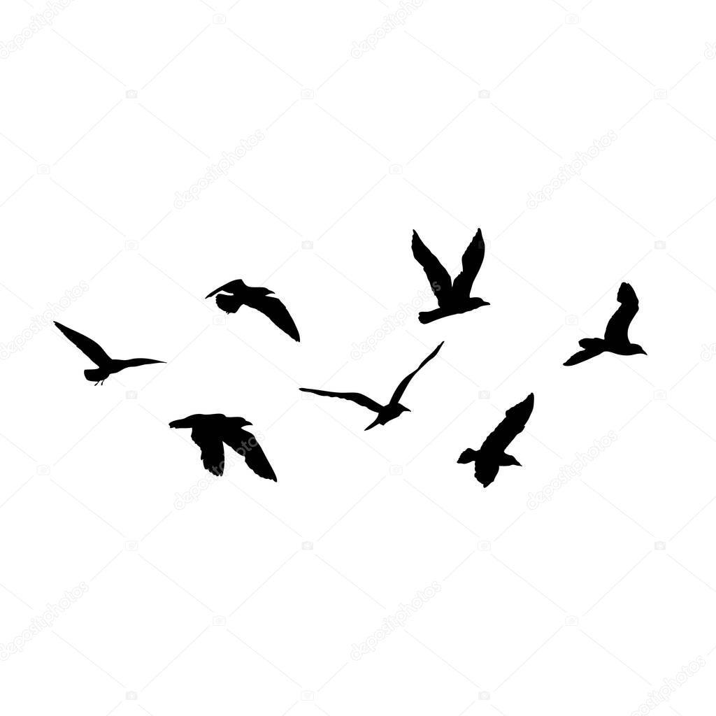 Set of seagulls birds, nautical sailor tattoo sketch. Black stroke of flying sea gull silhouettes on white background. Marine set. Drawings of different shapes of water birds in the flock. Vector.