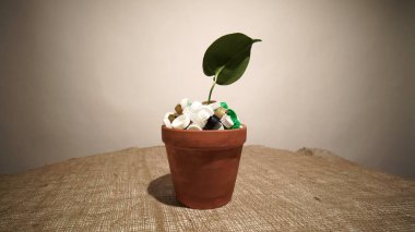 Plastik çöp dolu bir çömleğin içinde küçük bir fidan. Bir zamanlar plastik ve ambalajın aşırı kullanımından kaynaklanan çevre koruma felaketi kavramı. Topraktaki yeşil bitki mi yoksa plastik çöpten yapılmış toprak mı?.