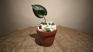 Plastik çöp dolu bir çömleğin içinde küçük bir fidan. Bir zamanlar plastik ve ambalajın aşırı kullanımından kaynaklanan çevre koruma felaketi kavramı. Topraktaki yeşil bitki mi yoksa plastik çöpten yapılmış toprak mı?.