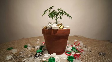 Plastik çöp dolu çömlekte yeşil bitkiler yetişiyor. Tarım ve bahçıvanlık ya da ekoloji felaketi. Geri dönüşümsüz plastik atık kirliliği yüzünden çevresel felaket kavramı. 