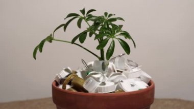 Plastik çöp dolu bir çömleğin içinde küçük bir fidan. Bir zamanlar plastik ve ambalajın aşırı kullanımından kaynaklanan çevre koruma felaketi kavramı. Topraktaki yeşil bitki mi yoksa plastik çöpten yapılmış toprak mı?.