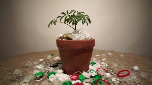 Green growing plant in pot full of plastic dirt trash. Agriculture and gardening or ecology disaster. Concept of environmental catastrophic apocalypse due non recyclable plastic garbage pollution. — Vídeos de Stock
