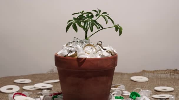 Green growing plant in pot full of plastic dirt trash. Agriculture and gardening or ecology disaster. Concept of environmental catastrophic apocalypse due non recyclable plastic garbage pollution. — Vídeos de Stock