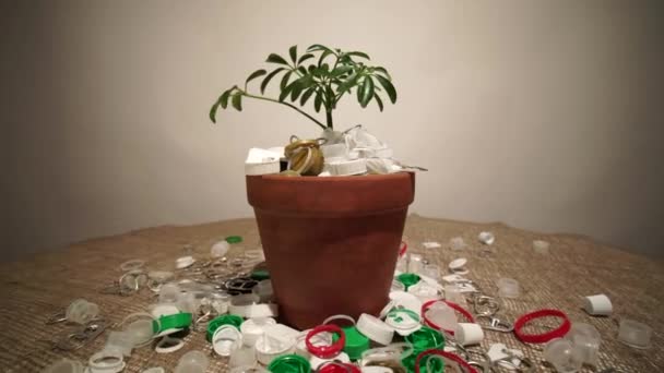 Mudas jovens em vaso cheio de lixo de plástico sujeira. Conceito de desastre de conservação ambiental devido ao uso excessivo de uma vez plástico e embalagem. Planta verde no solo ou sujeira feita de lixo plástico. — Vídeo de Stock