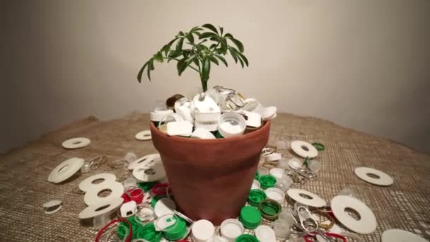 Groene plant in pot vol plastic vuilnis. Landbouw en tuinieren of ecologische ramp. Begrip milieucatastrofale Apocalyps als gevolg van niet-recycleerbare plastic vuilnis. — Stockvideo