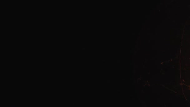 Lenta rotazione della lampadina retrò Edison. Filatura vintage lampadina filamento di tungsteno rivelando dettagli idea vista. Accogliente nostalgico sera camera da letto macro close up concetto. 4k. — Video Stock