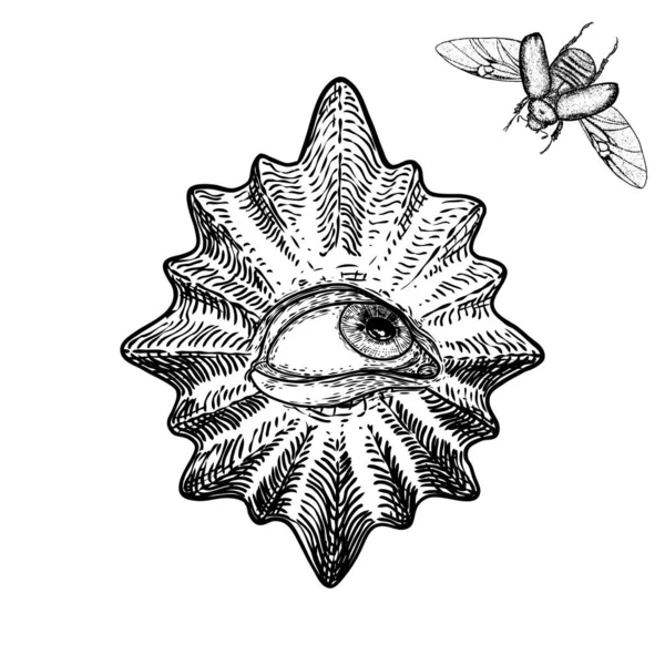 昆虫や虫と異なる方向と感情ですべての目の様々な図面 オプションデザイン要素としてのメイソンのシンボル 人間のビジョン ベクトル — ストックベクタ