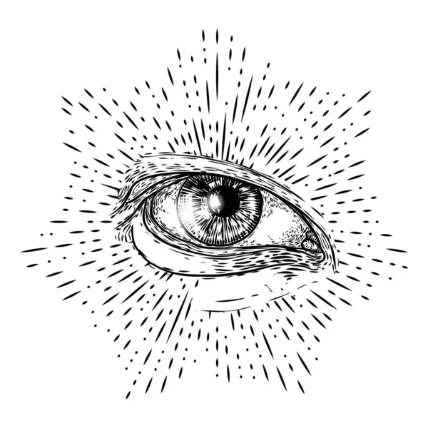 Όλοι Βλέπουν Μάτι Μάτι Της Πρόνοιας Διακοσμητικό Φόντο Ιερή Γεωμετρία — Διανυσματικό Αρχείο
