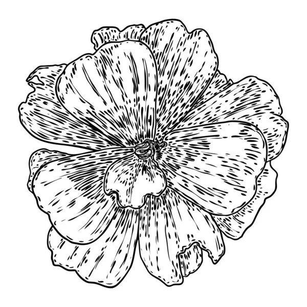 Lotusknospe Linienkunst Stilisiert Lotusblüten Blühen Schwarz Weiße Von Hand Gezeichnete — Stockvektor
