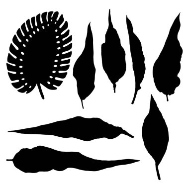 Değişik tropikal orman yaprakları siyaha boyanmış. İzole edilmiş palmiye dalları ve bitki yaprakları veya yaprak silueti. Vektör.