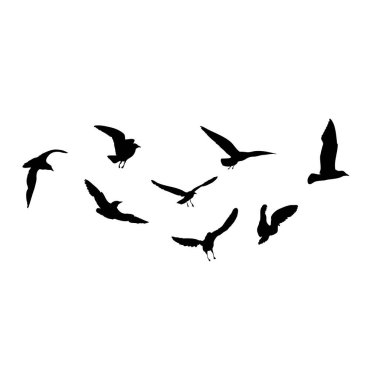 Beyaz arka planda uçan martı kuşlarının silueti. Martı dövmesi dövmesi için ilham verici bir yelken. Vektör.