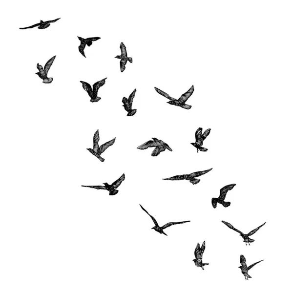 Set Uccelli Gabbiani Disegno Nautico Del Tatuaggio Del Marinaio Corsa — Vettoriale Stock