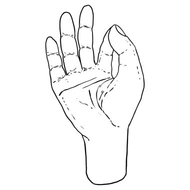 Buda Gyan-mudra el hareketi. Meditasyon yaparken yoga mudrası. Bilginin Mudra jnana 'sı, Budizm veya Hinduizm element vektörü çiziyor.