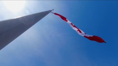 Toronto şehri Ontario Canada 'da Kanada bayrağı yavaş çekimde yarıya indirildi. Bir trajedinin anısına. Kanada Ulusal Bayrağını yarıya indiriyorum. Bayrak indirildi ve ortak bir üzüntü hissi ifade edildi..