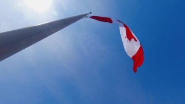 Kanada bayrağı yarıya indirildi. Kanada 'nın ulusal bayrağı Toronto, Ontario, Kanada' da kolektif bir üzüntü duygusunu onurlandırmak ve ifade etmek için yarıya indirildi..