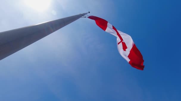 Die Kanadische Flagge Weht Auf Halbmast Kanadas Nationalflagge Weht Auf — Stockvideo