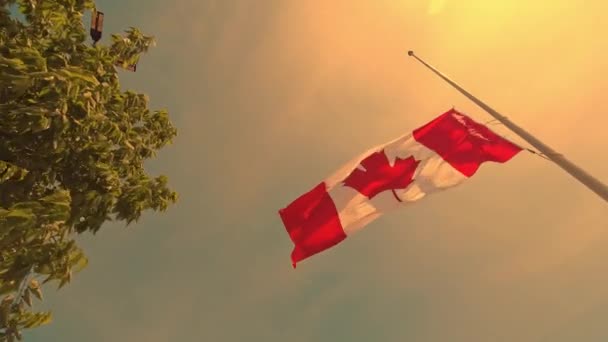 Drapeau Canadien Ralenti Berne Toronto Ontario Canada Souvenir Une Tragédie — Video