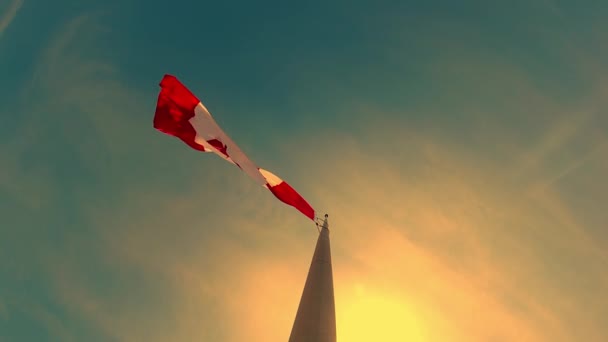 在加拿大安大略省多伦多市 加拿大国旗在一半桅杆处缓慢运动 为了纪念一个悲剧 下半旗悬挂加拿大国旗 旗子降下 表达了集体的悲伤感 — 图库视频影像