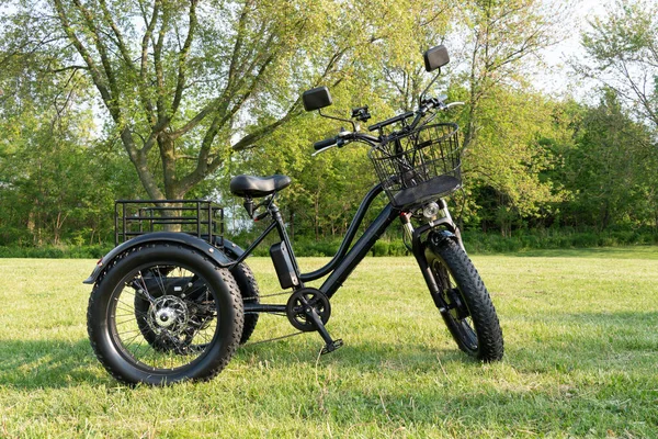 Wheel Electric Bicycle View Side Bike Motor Park Grass City — Φωτογραφία Αρχείου