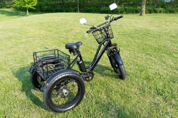 Wheel Electric Bicycle View Side Bike Motor Park Grass City — Foto de Stock