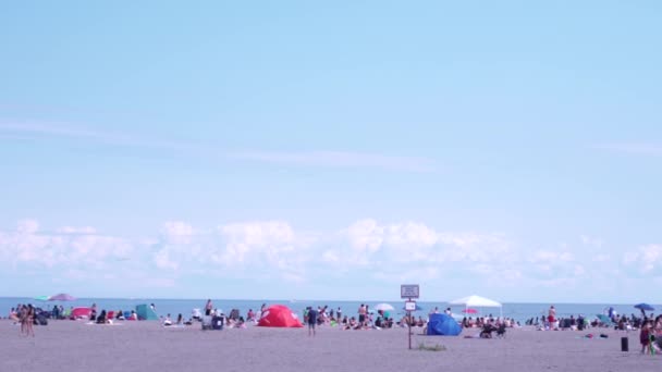 2021年7月3日 加拿大安大略省多伦多 安大略在重新开放的第二步 阳光灿烂的日子里 人山人海 海洋夏季景观 — 图库视频影像