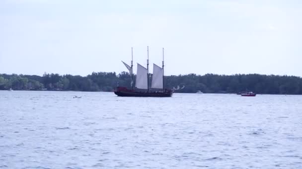 Toronto Downtown Harbourfront Kapal Hiburan Dan Kepulauan Ferry Danau Ontario — Stok Video