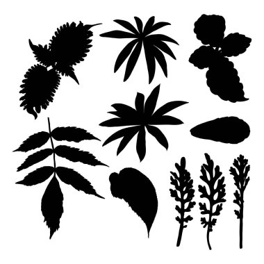 Değişik tropikal orman yaprakları siyaha boyanmış. İzole edilmiş palmiye dalları ve bitki yaprakları veya yaprak silueti. Vektör.