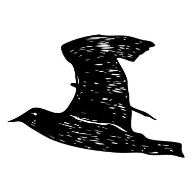 Martı kuşu, denizci dövmesi çizimi. Beyaz arka planda uçan martı siluetinin siyah vuruşu. Vektör içinde su kuşunun deniz çizimleri.