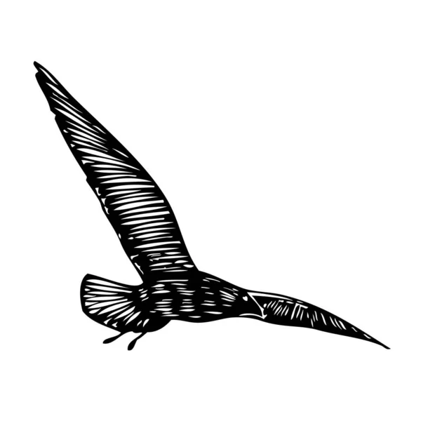 カモメの鳥 航海水夫の入れ墨のスケッチ 白い背景に空飛ぶ海のカモメのシルエットの黒いストローク ベクトルの水の鳥の海図の形 — ストックベクタ