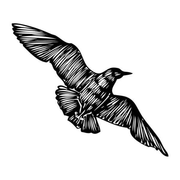 Pájaro Las Gaviotas Dibujo Del Tatuaje Marinero Náutico Golpe Negro — Archivo Imágenes Vectoriales