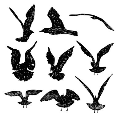 Bir dizi siyah el kuşları okşar, martılar, sürü. Deniz kuşlarının robot resmini çiziyorum. Beyaz arka planda. İlham verici vücut dövmesi mürekkebi. Vektör.