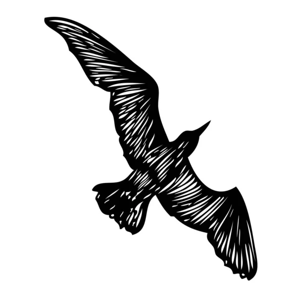 カモメの鳥 航海水夫の入れ墨のスケッチ 白い背景に空飛ぶ海のカモメのシルエットの黒いストローク ベクトルの水の鳥の海図の形 — ストックベクタ
