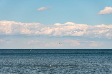 Bulutlar ve Ontario gölü. Toronto 'da deniz kıyısında gökyüzünde beyaz mavi küçük bulutlar. Yaz ruh hali titreşimleri. Kilitlendikten sonra güneşli günler. Rahatlama arkaplanı.