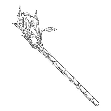 Bambu orman tasarım elementi. Geleneksel Japonya ve Çin bahçe bitkisi. Yapraklı ağaç dalı. Asya yağmur ormanları bambu süsleme elementi, bitki sapları ve yaprakları. Vektör.