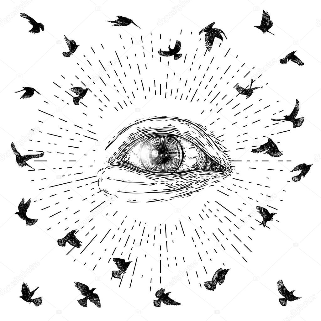 All seeing eye symbol element variation. Alchemy, religion, spirituality and occultism tattoo ink art. Vision of providence and conspiracy theory. Hand drawing in flash tattoo style artwork. Vector.