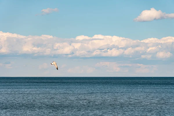 Clouds Water Lake Ontario White Blue Small Clouds Sky Water — Stock Photo, Image