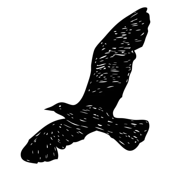 Mouette Noire Traits Dessinés Main Oiseau Mouette Marine Dessin Croquis — Image vectorielle