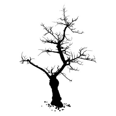 Çıplak ağaç silueti. Ağaç gövdesinin yapraksız ve iğnesiz elle çizilmiş şekli. Kış mevsimi ağacı ya da ölü yaşlı bitki. Hastalıklı kuru yapraklar döküldü. Vektör. 